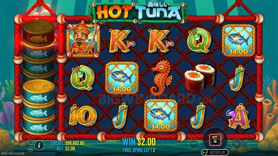 Immersive Live Casino